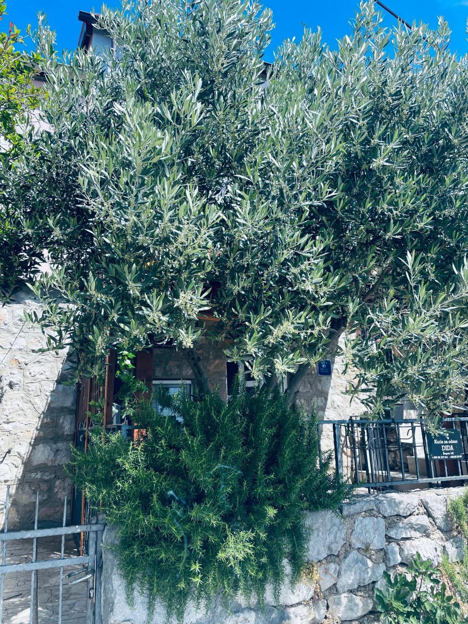 Kuca Za Odmor “Dida” Villa Stinica Kültér fotó