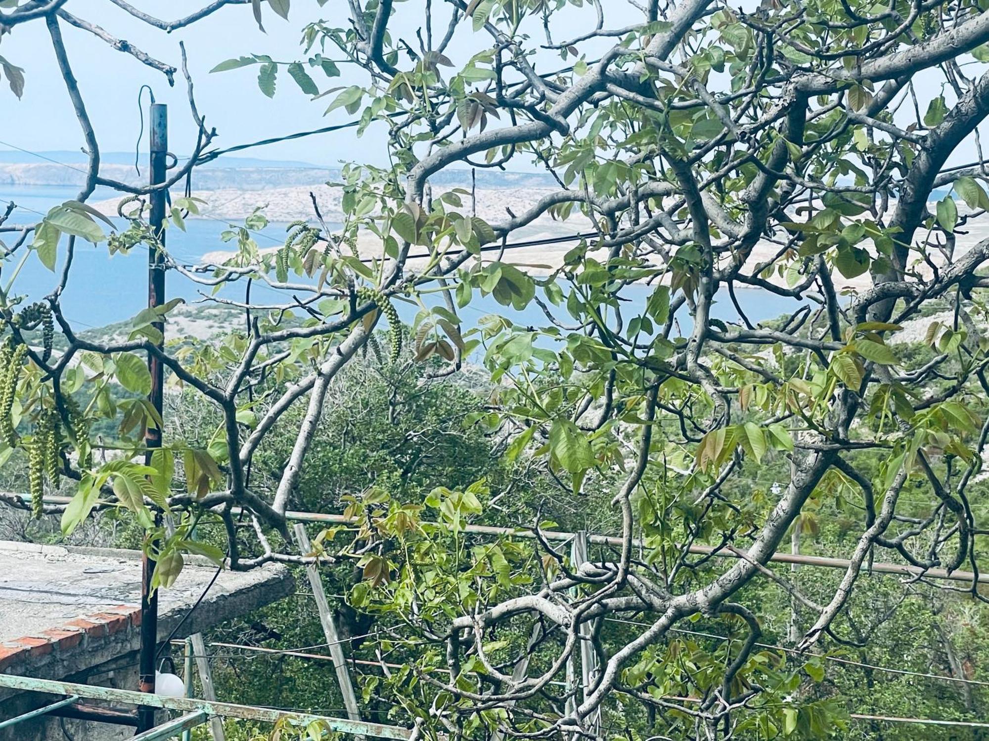 Kuca Za Odmor “Dida” Villa Stinica Kültér fotó