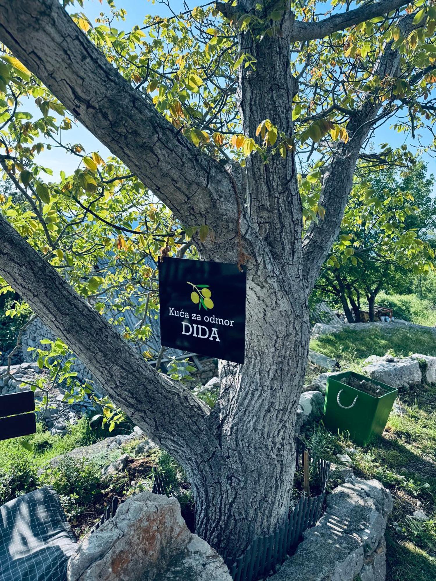 Kuca Za Odmor “Dida” Villa Stinica Kültér fotó